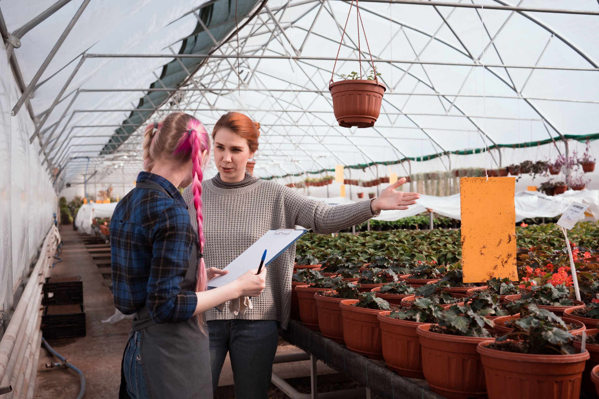 business owner and salesperson talking in greenhouse