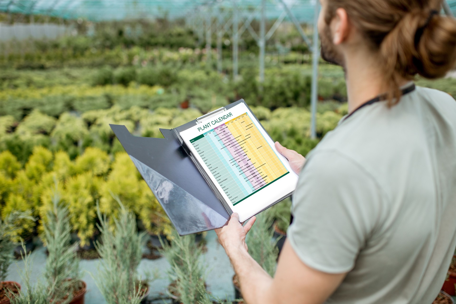 Gardener working in the greenhouse