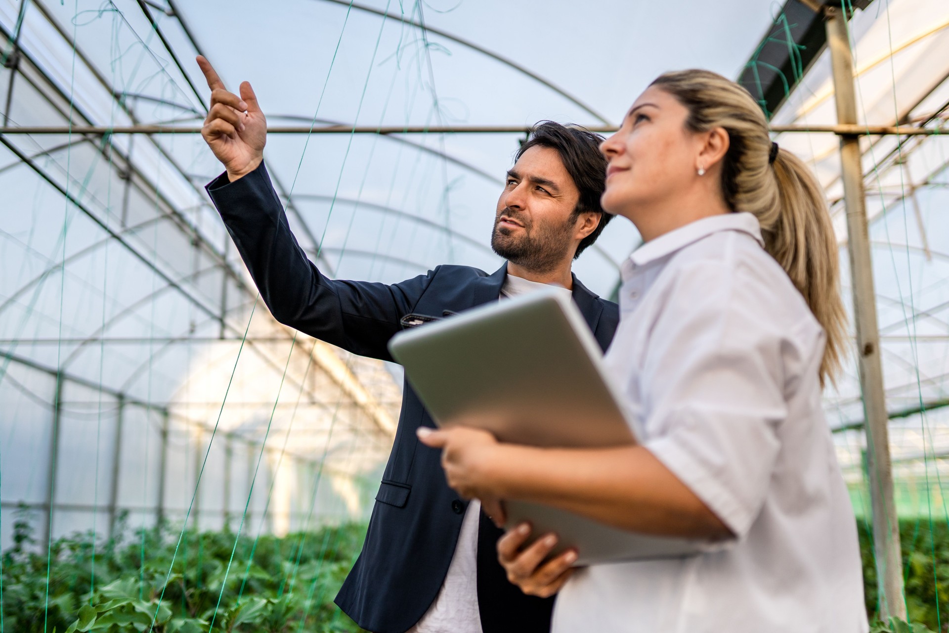 Two young modern farmers working with laptop in greenhouse and having business talk with each other while checking crops