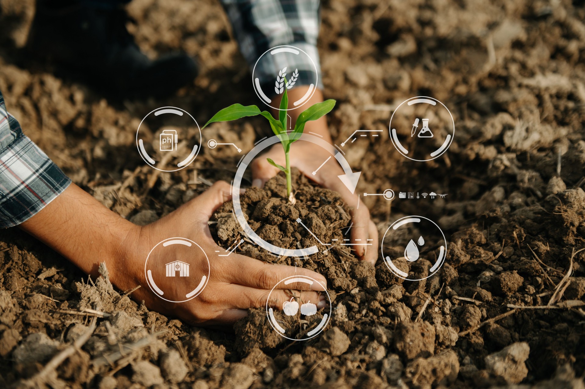 Woman hands gardening lettuce in farm  with growth process and chemical formula on green background. With icon